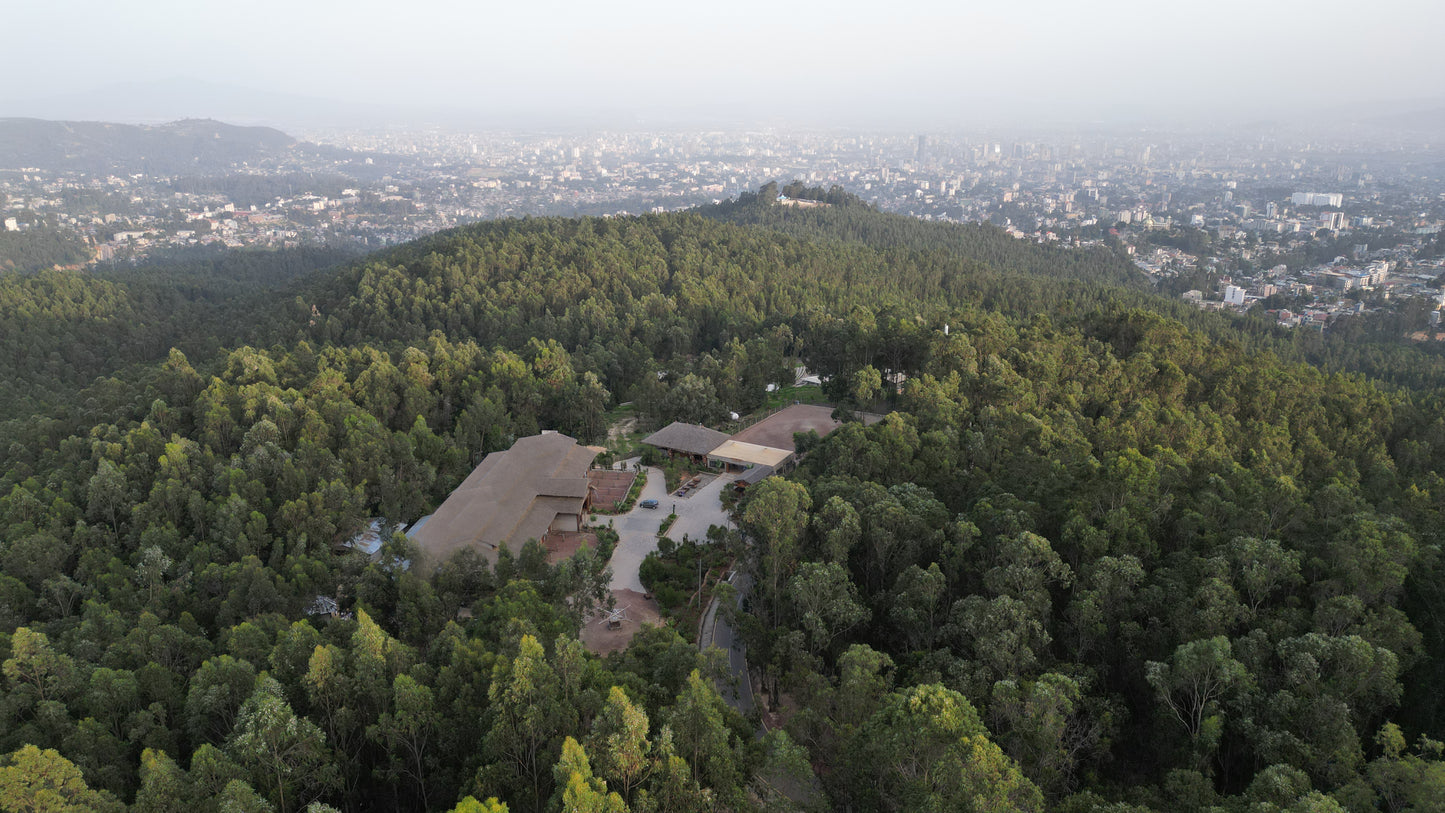 Kuriftu Resort Entoto – Adventure in the Hills