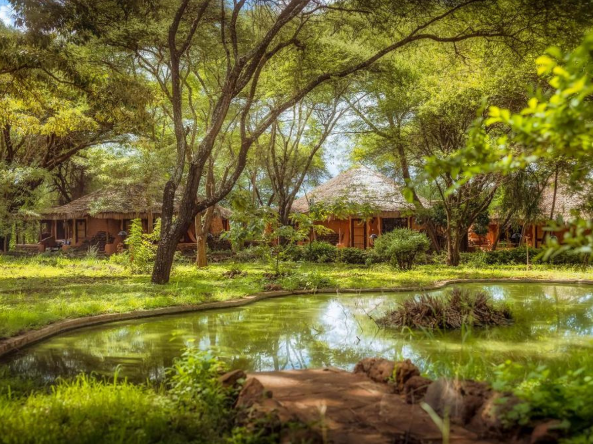 The Family Escape: Amboseli & Mombasa