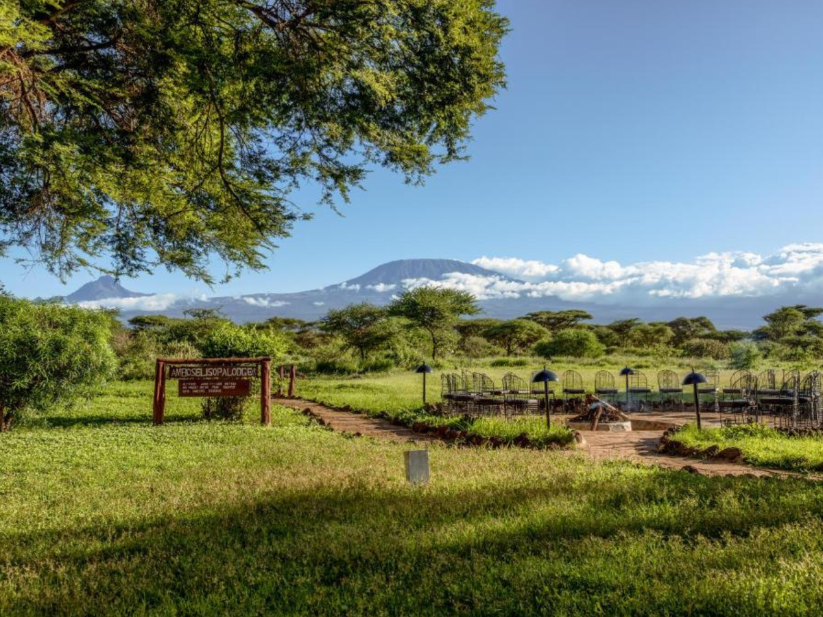 The Family Escape: Amboseli & Mombasa